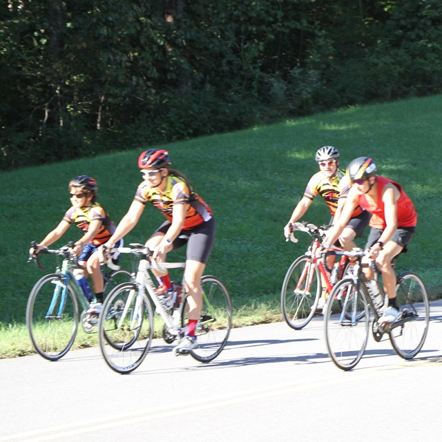 Five people riding bicycles on a road.