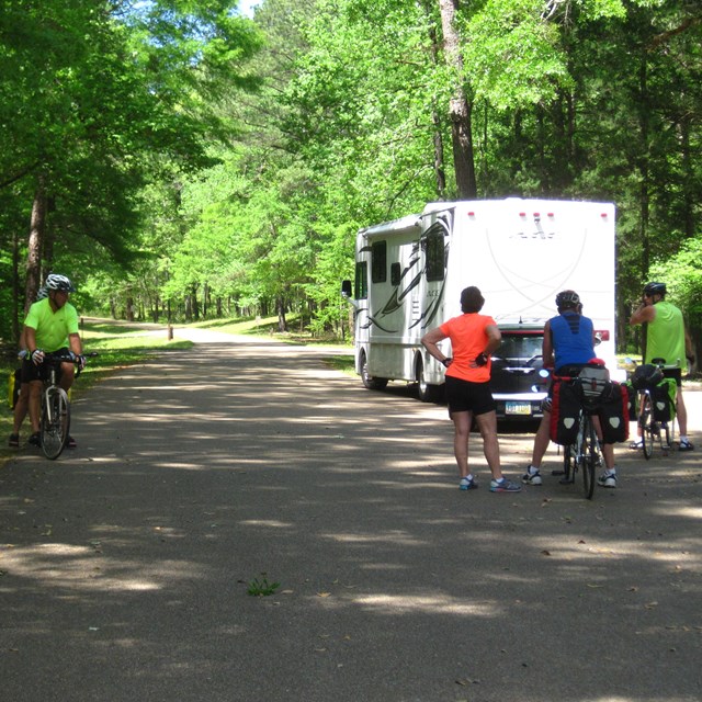 Group of bicyclists