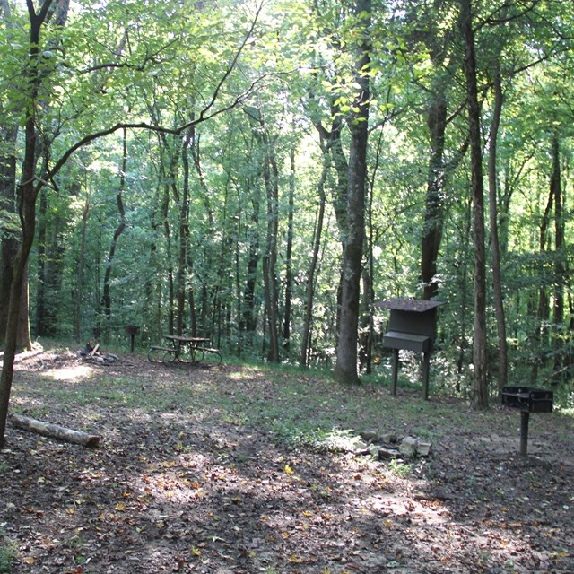 A wooded campsite with a picnic table