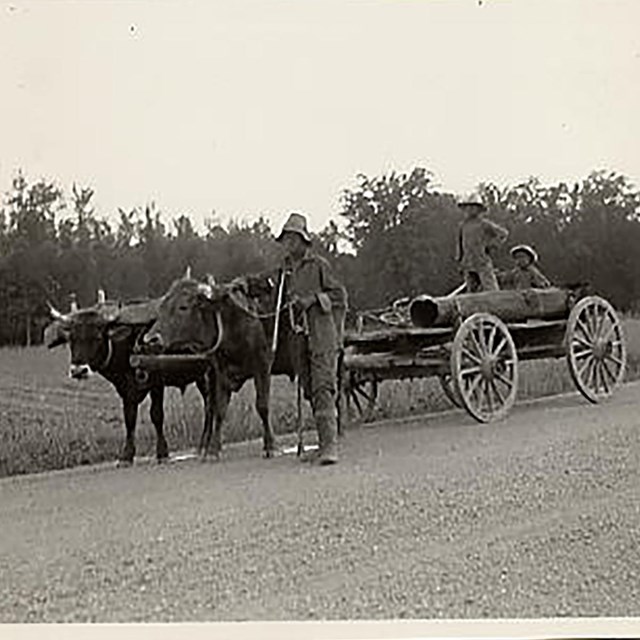 A black and white photo of three dark skinned men with an oxcart. 