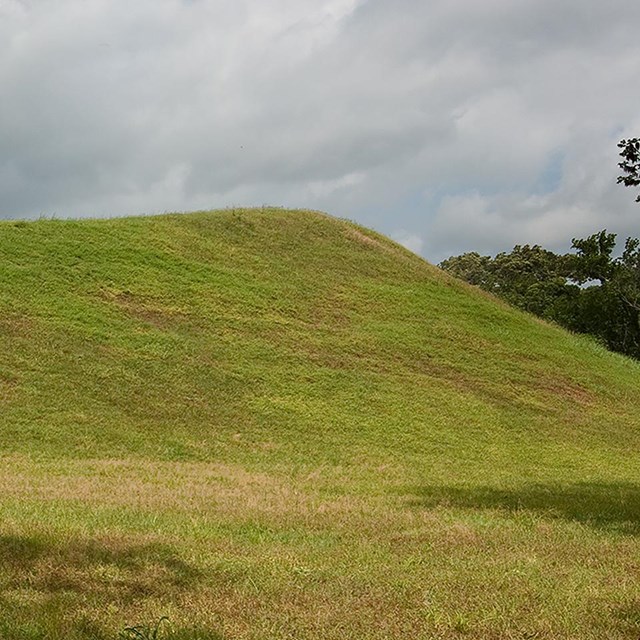 A grass covered flat top mound.