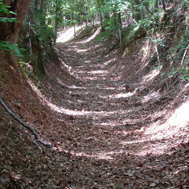 A wide deep trail in a forest.