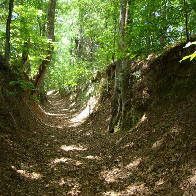 A large sign stating National Scenic Trail in front of a path into a forest. 