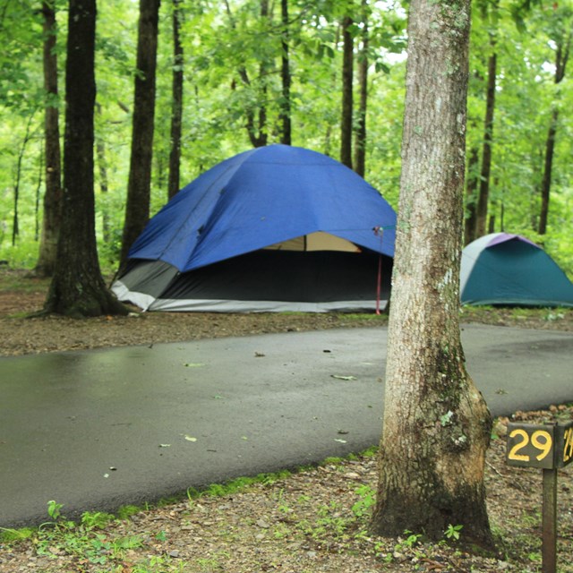 A wooded campsite with a picnic table and a blue tent.