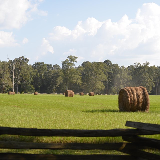 A field with round hay bales, a split rail fence in the foreground and trees in the background.