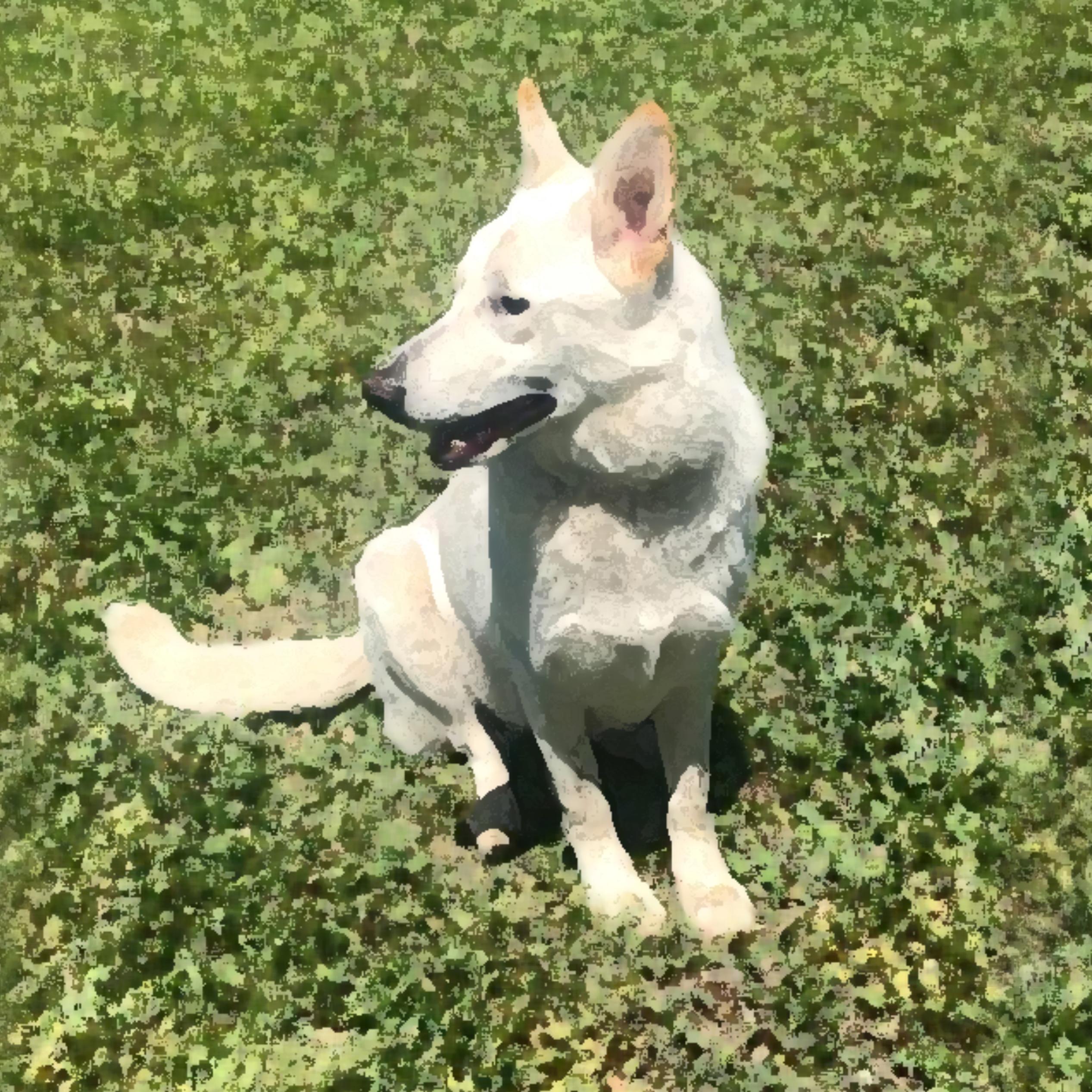 A digital image of a white shepherd-like dog on a green mottled background