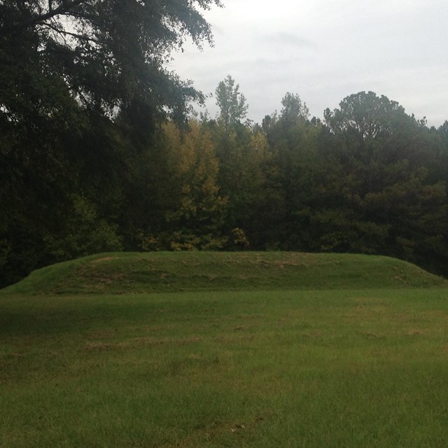 A long flat mound in front of a forest. 