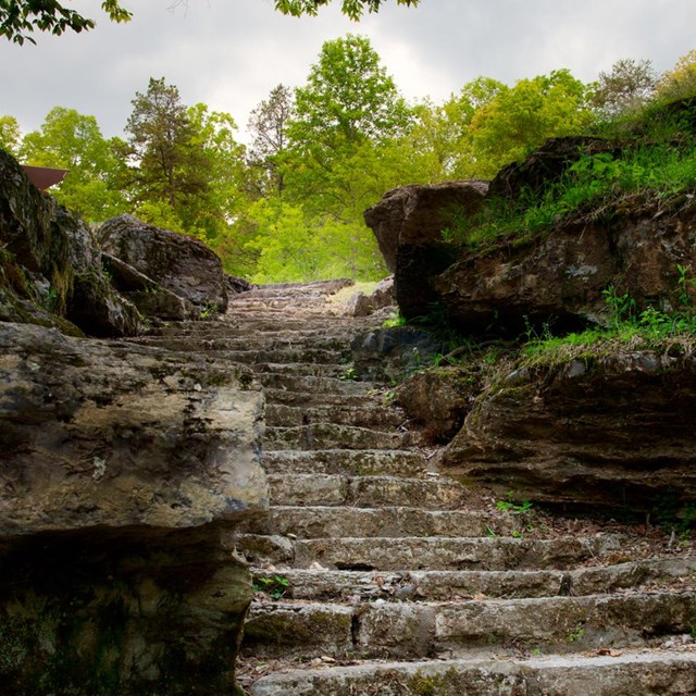 Worn stone steps ascending into green forest.