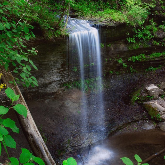 A small waterfall cascading over a ledge and surrounded by green plants.