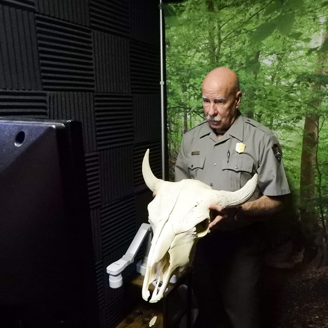 A park ranger holding up a bison skull to students in a distance learning studio.
