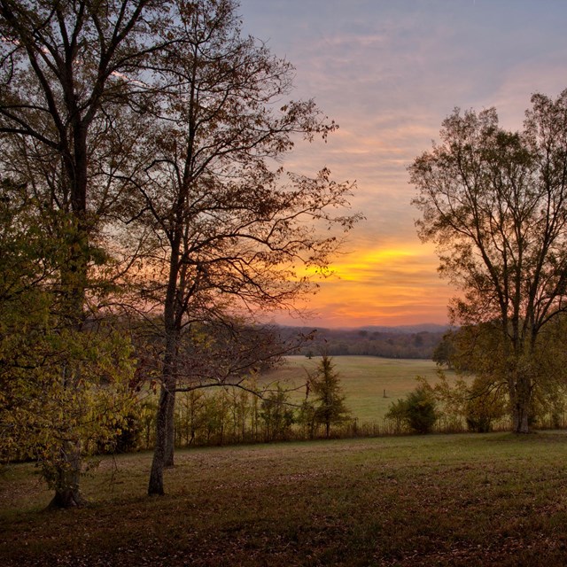 A pink, orange and blue sunrise seen over a field between trees.