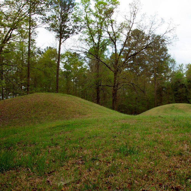 Two round top mounds, covered with grass. 