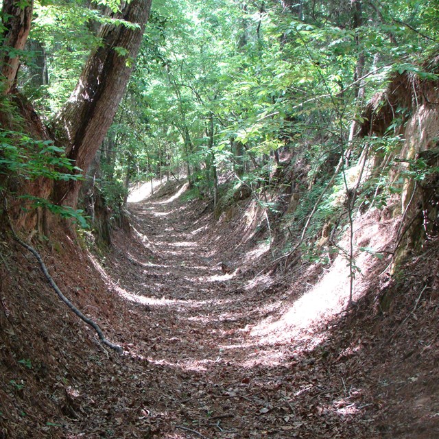 A trail that is u shaped and sunken below the forest floor. 