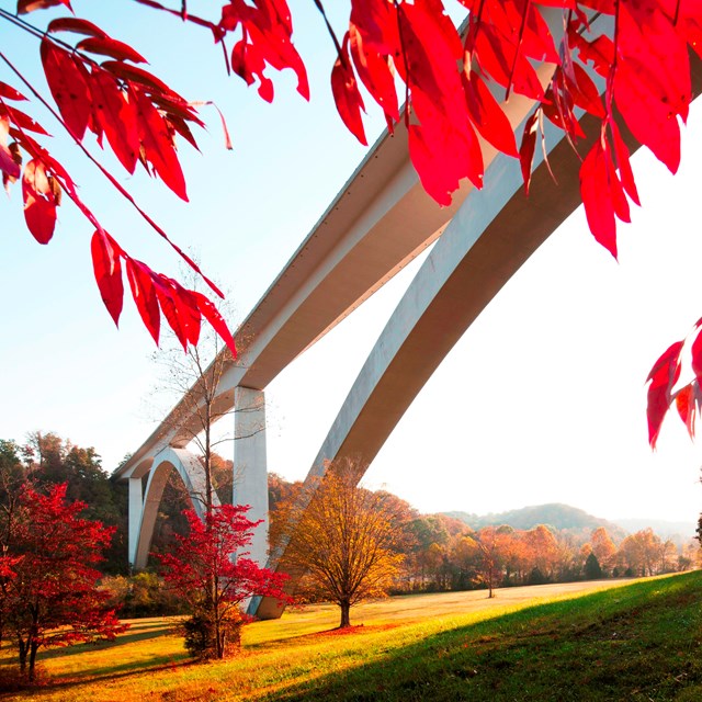 Double arch bridge with bright red fall leaves.