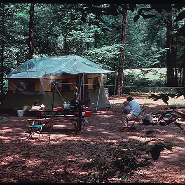 In a forest, a tent, picnic table and a man with a child.