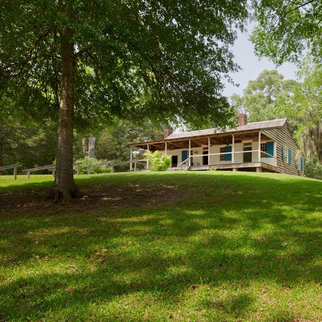 A cabin on a tree lined hill.