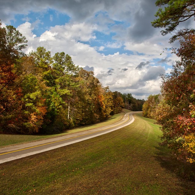 A two lane road curves through fall color trees under a blue sky with fluffy clouds.