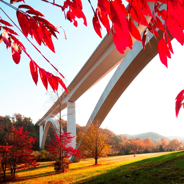 A double arch bridge with bright red fall leaves.