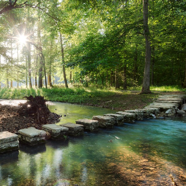 Stone blocks crossing a small river.