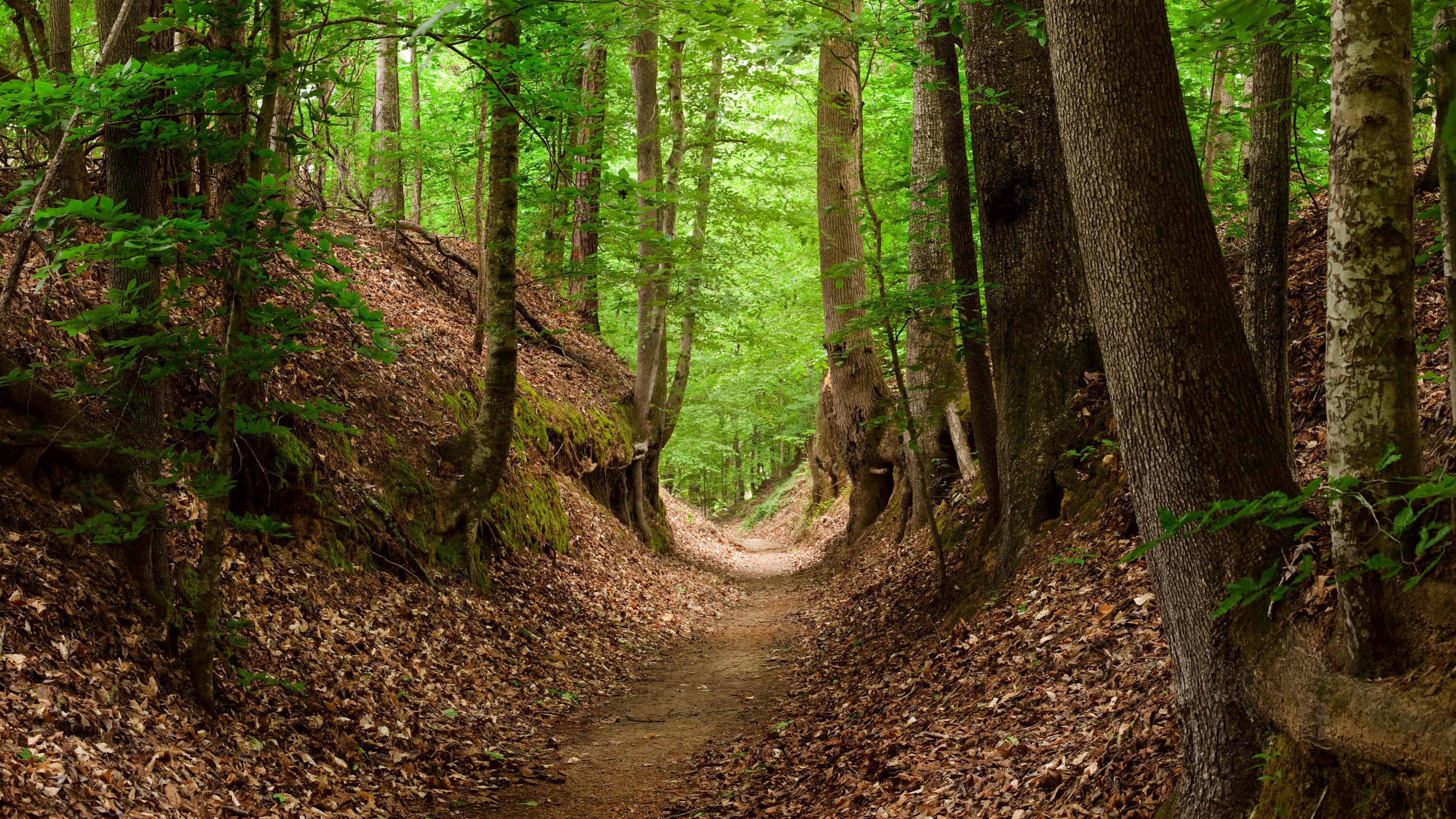 Natchez Trace National Scenic Trail U.S. National Park Service