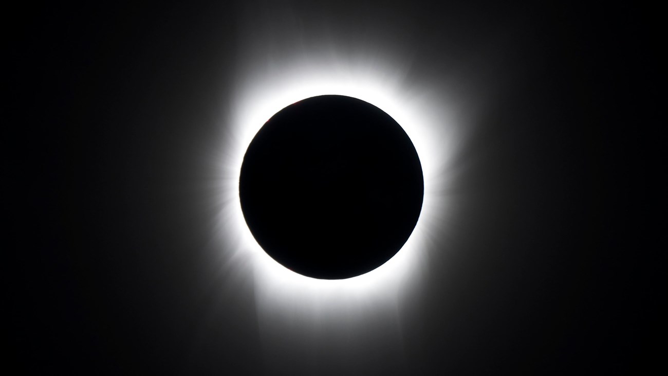 A white light image of the solar corona during totality