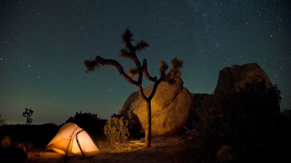tent lit up at night with stars shining in the night sky
