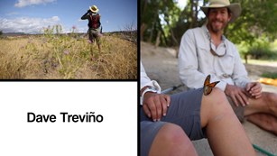 a split screen of a man looking through binoculars and text reads Dave Trevino