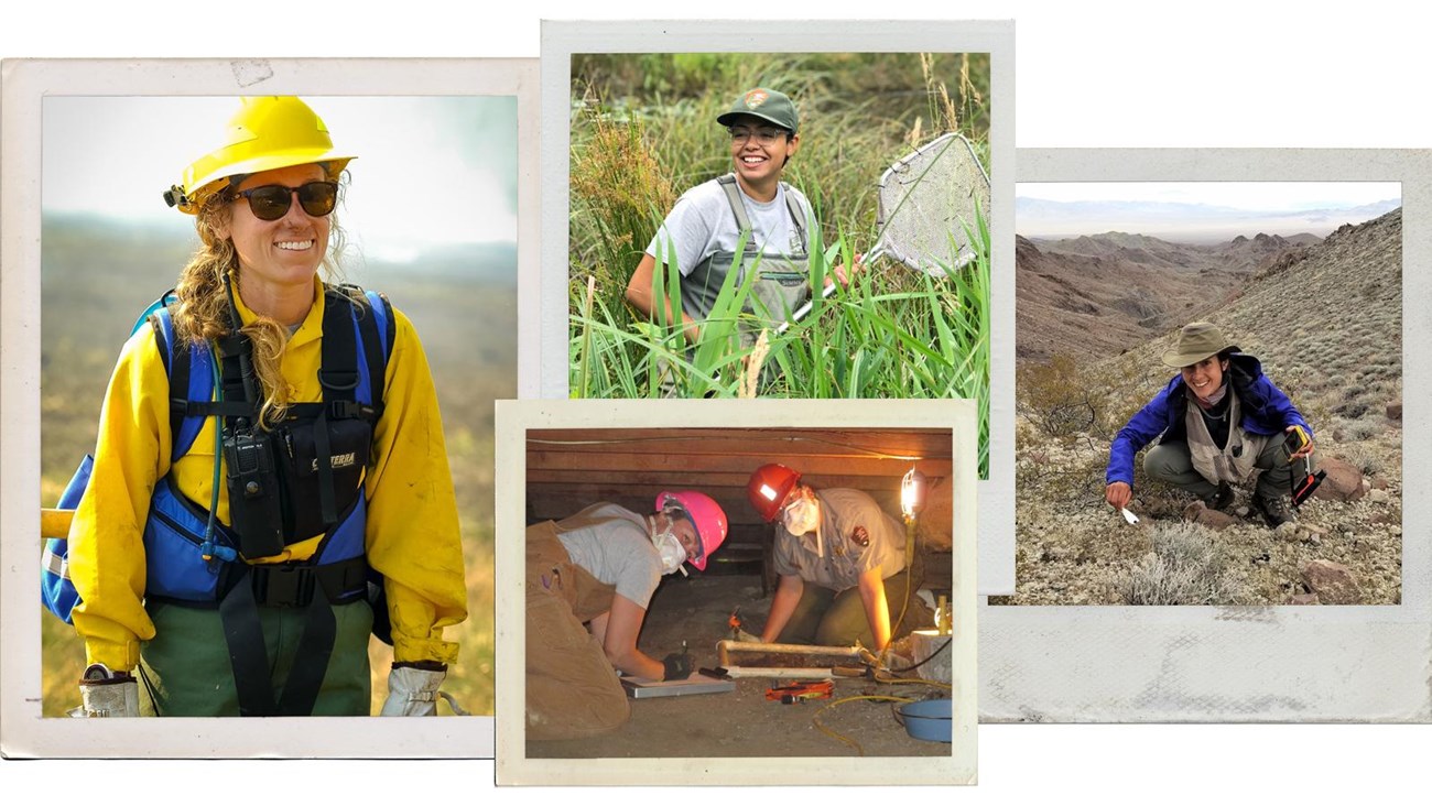 graphic of 4 Polaroids with photos of 4 women in the field 