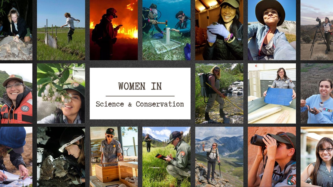 a collage of women in science and conservation