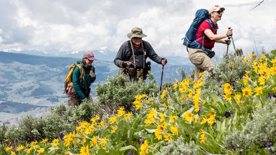 Hikers follow a trail through the mountains