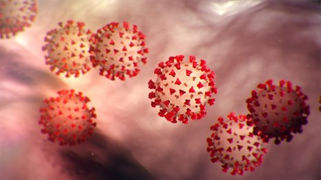 Detailed illustration of the coronavirus structure