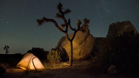 A tent illuminated under a starry sky