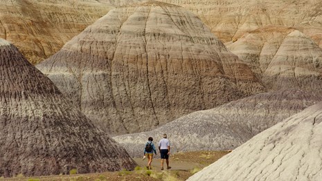 Visitors Enjoying the Blue Mesa Trail