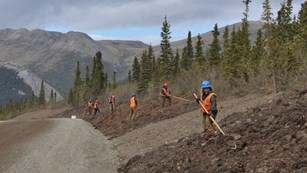 a team of people pull invasice plants