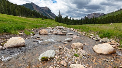 Clear, shallow, boulder-filled stream flanked by grassy meadow, forest, and mountains.