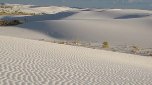 ripples in white sand