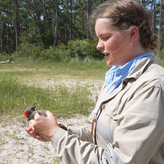 a young woman holds a bird in her hands