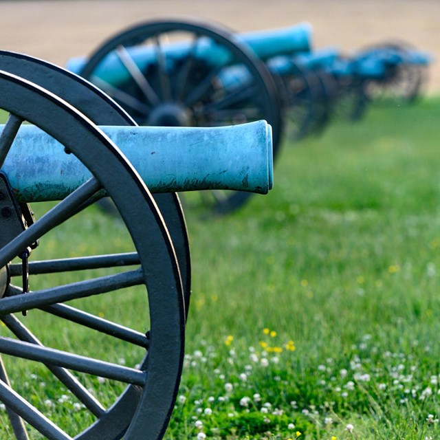 a row of cannons in a grassy field