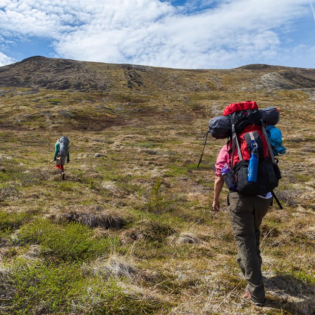 Two backpackers ascending a rolling hillside.