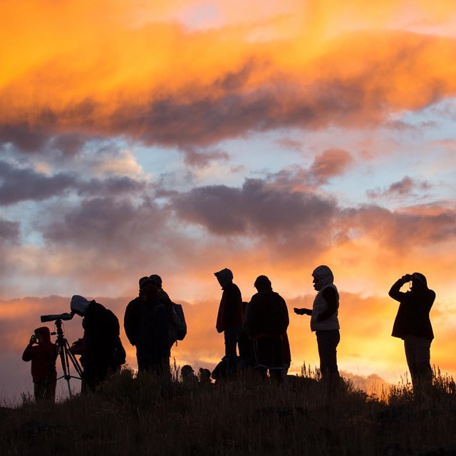 silhouette of a group of people wildlife watching at sunrise