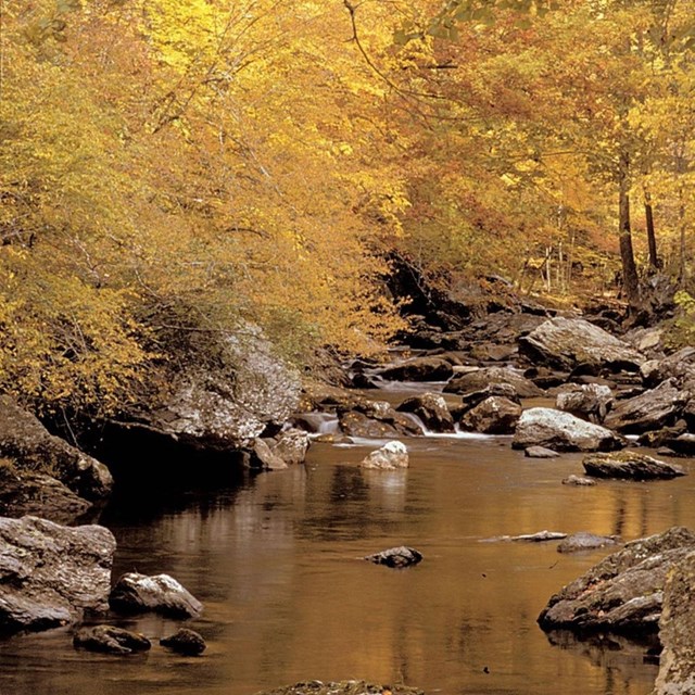 an calm stream surrounded by fall colors