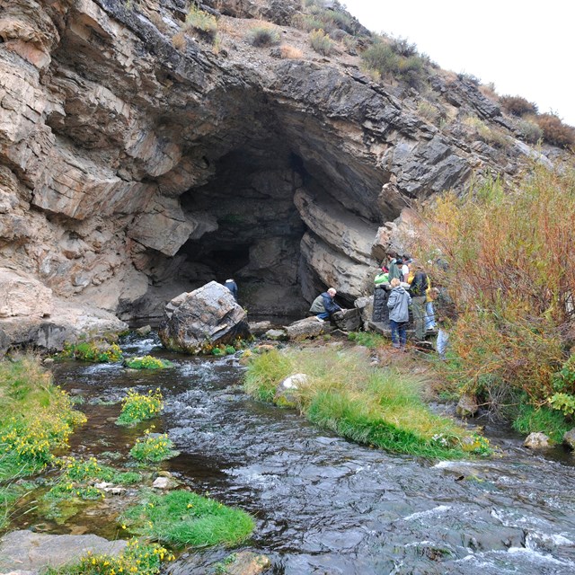 spring water flows out of a cave opening