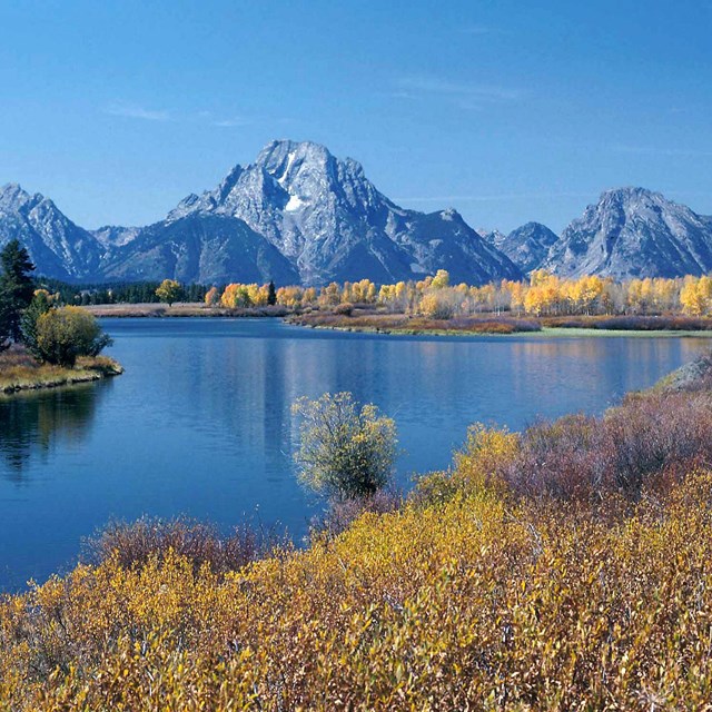 the Grand Teton mountain range with water and fall colors in the foreground