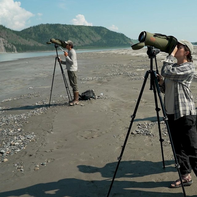 a group of scientists look through spotting scopes on a river bar