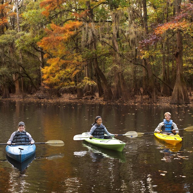 three people in kayaks paddle on a brownish river surrounded by green and golden trees