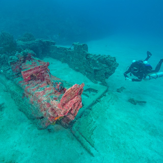 A scuba diver swims next to the wreck of an Amtrac amphibious tractor