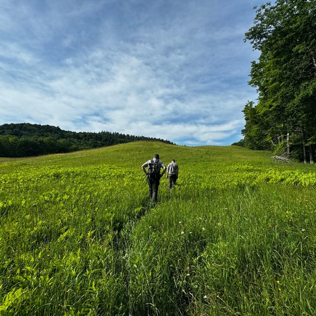 two people walk through a large grassy field