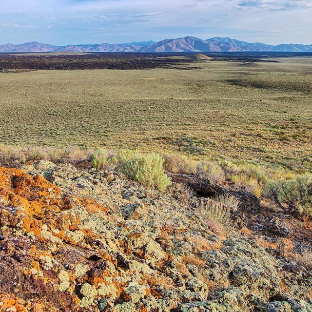 a vast sagebrush landscape with mountains in the distance