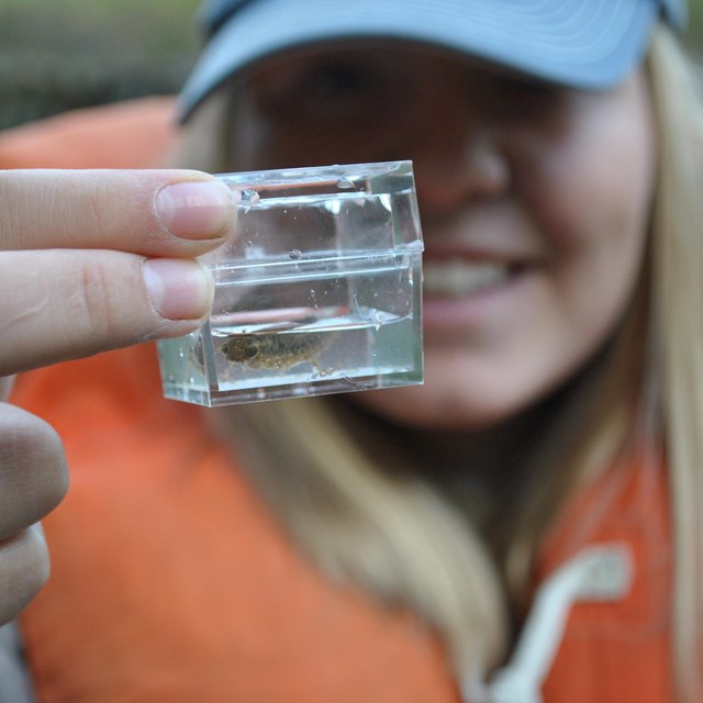 a smiling girl hold a specimen container with a dragonfly larvae