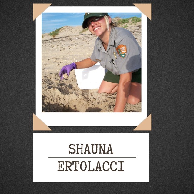 graphic of a woman in NPS uniform kneeling in sand on a beach text reads Shauna Ertolacci